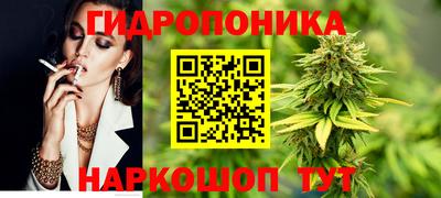 apvp Балашиха