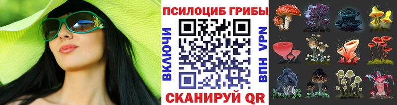 мега tor  Борзя  Галлюциногенные грибы Psilocybe  закладки 