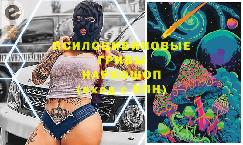 Галлюциногенные грибы Magic Shrooms  Борзя 