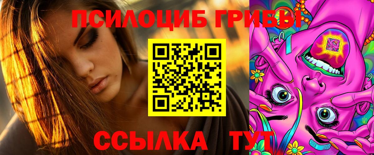 Галлюциногенные грибы Psilocybe Борзя