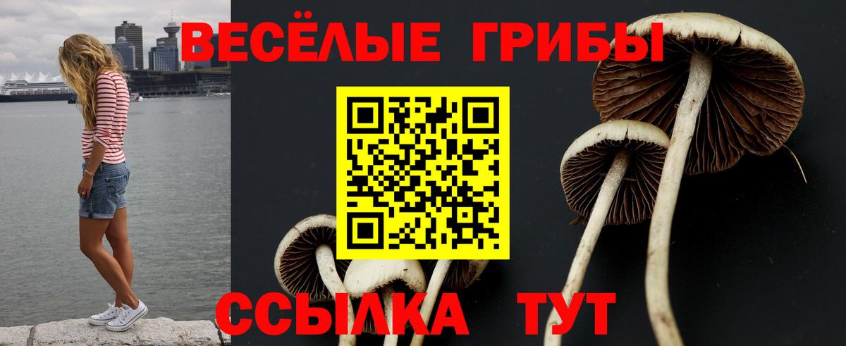 Галлюциногенные грибы прущие грибы  Галлюциногенные грибы мухоморы  Борзя  Вход с VPN 