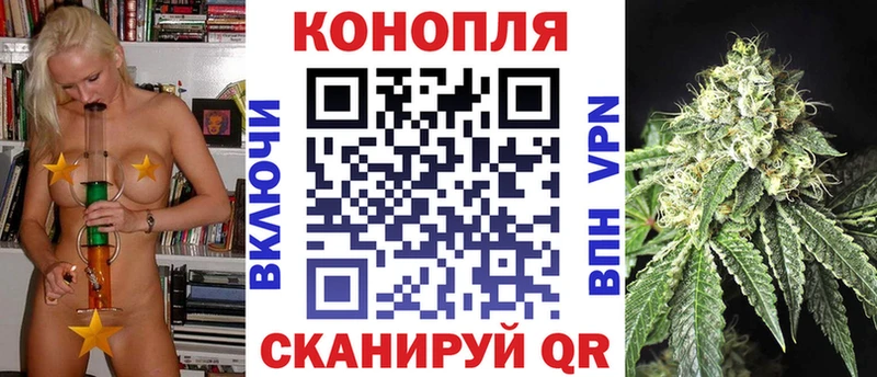 цена Борзя Бошки Шишки Ganja